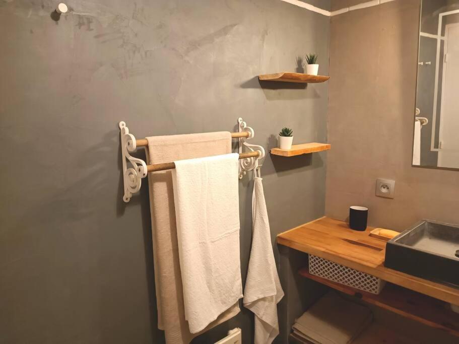 Le Cosy Plein Centre Avec Terrasse Apartment Meximieux Ngoại thất bức ảnh