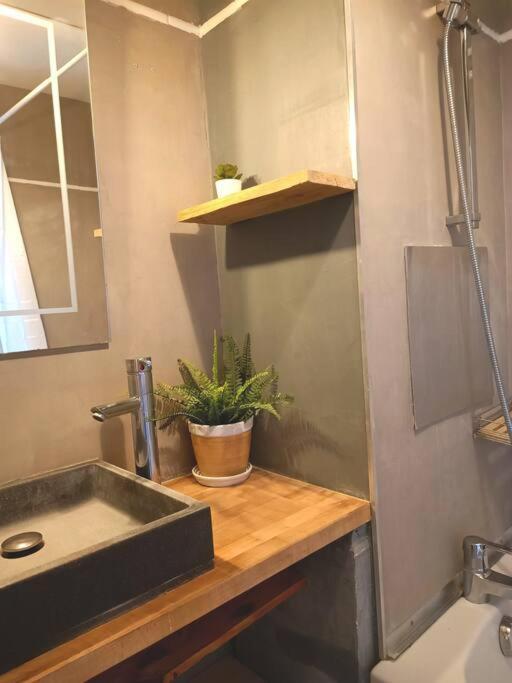Le Cosy Plein Centre Avec Terrasse Apartment Meximieux Ngoại thất bức ảnh